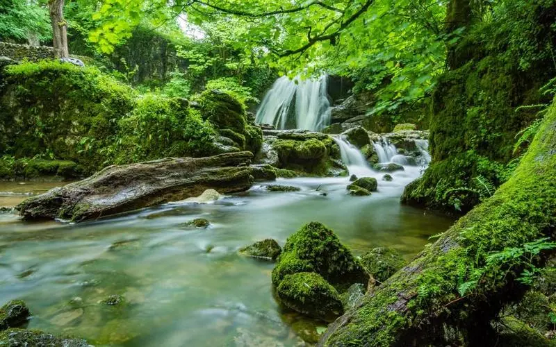 高精度可靠性